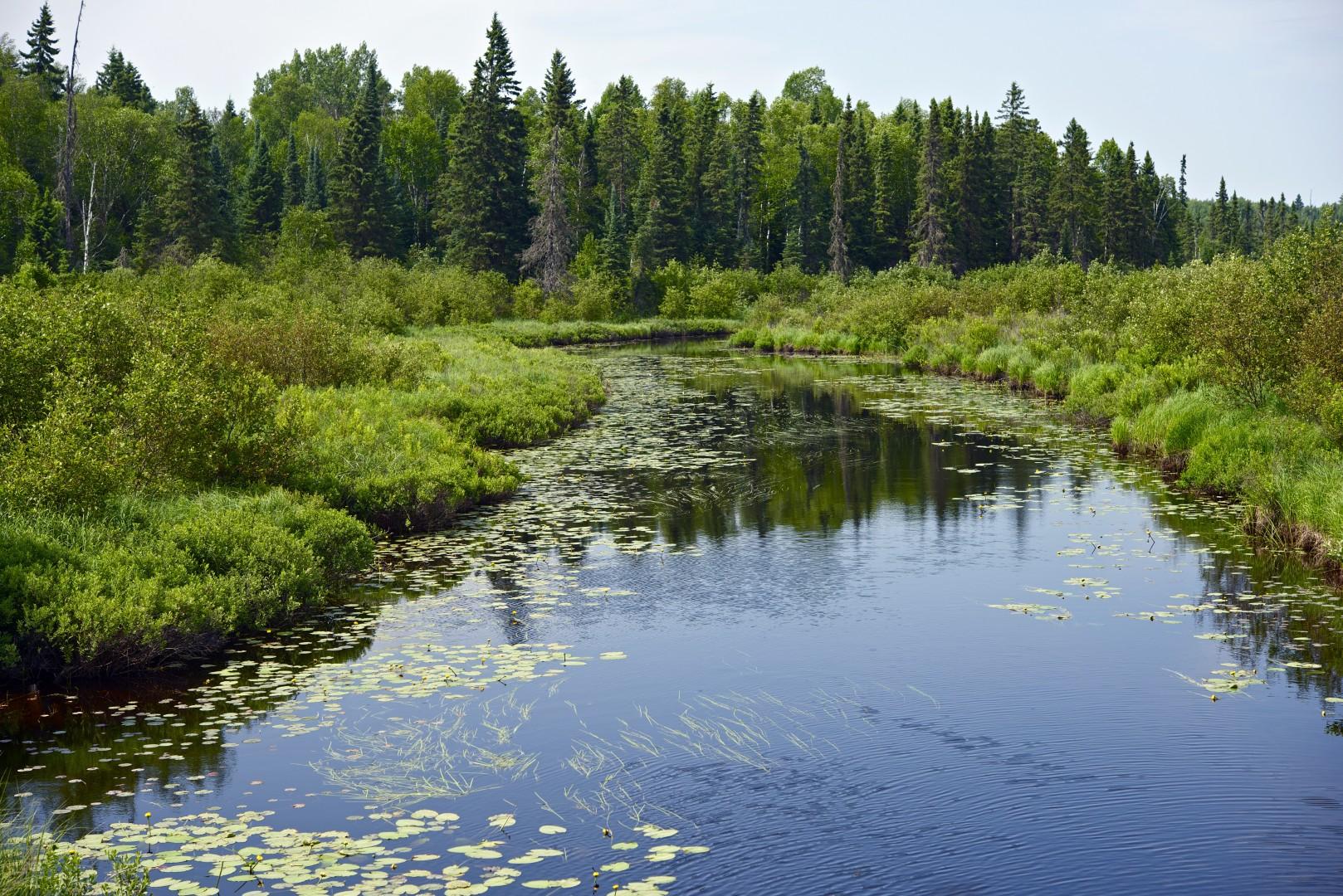 Minnesota landscape